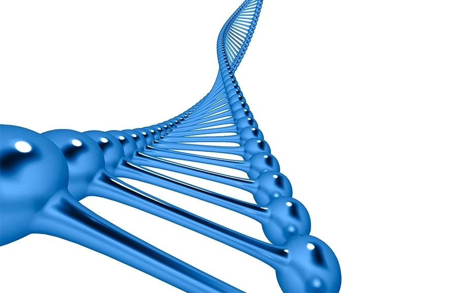ADN-Test-Genéticos-Ynsadiet