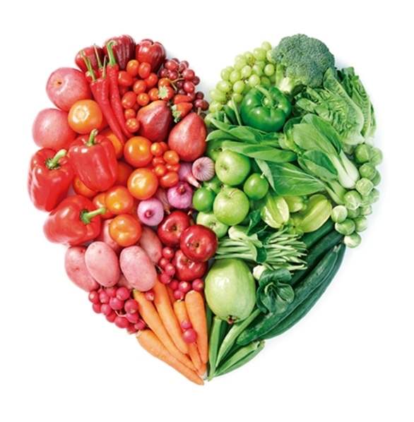 Sistema-Nutricional-Dietasol-Ynsadiet