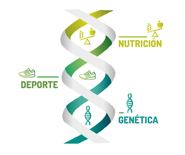 Prueba-Genética-Balance-Sport-Diet-Ynsadiet