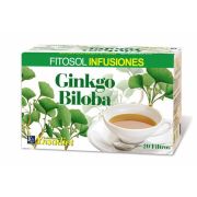 Ginkgo biloba