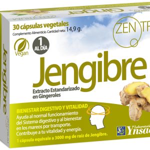 Jengibre