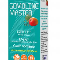 Gemoline master