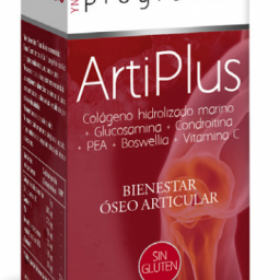 Artiplus